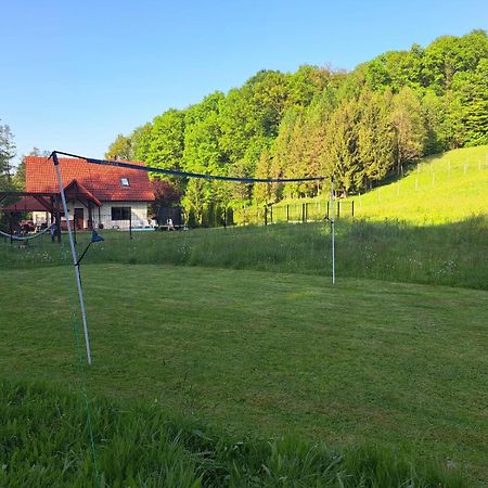 Villa Dom Na Polanie Brzeznica  Exterior foto
